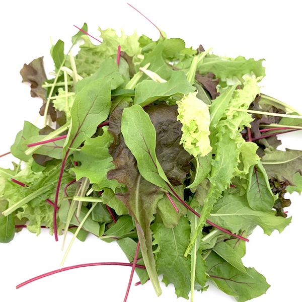 ベビーリーフやマイクロリーフの野菜生産 通販 株式会社耕野